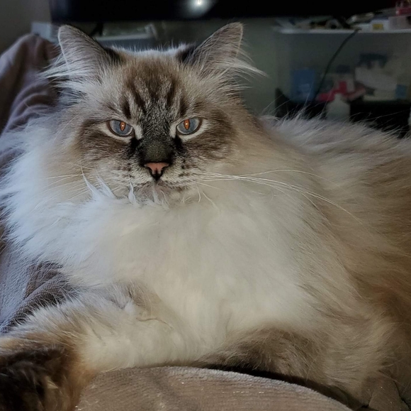 ॐ~Namaste~ॐ - Picture 4 of 4